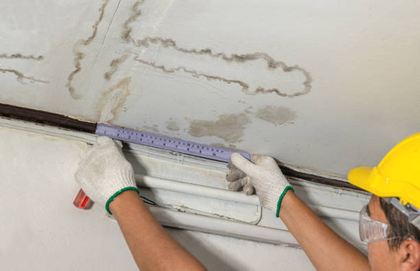 Reliable Water Damage Repair contractor in Palmer, MA by Hirex Water Damage